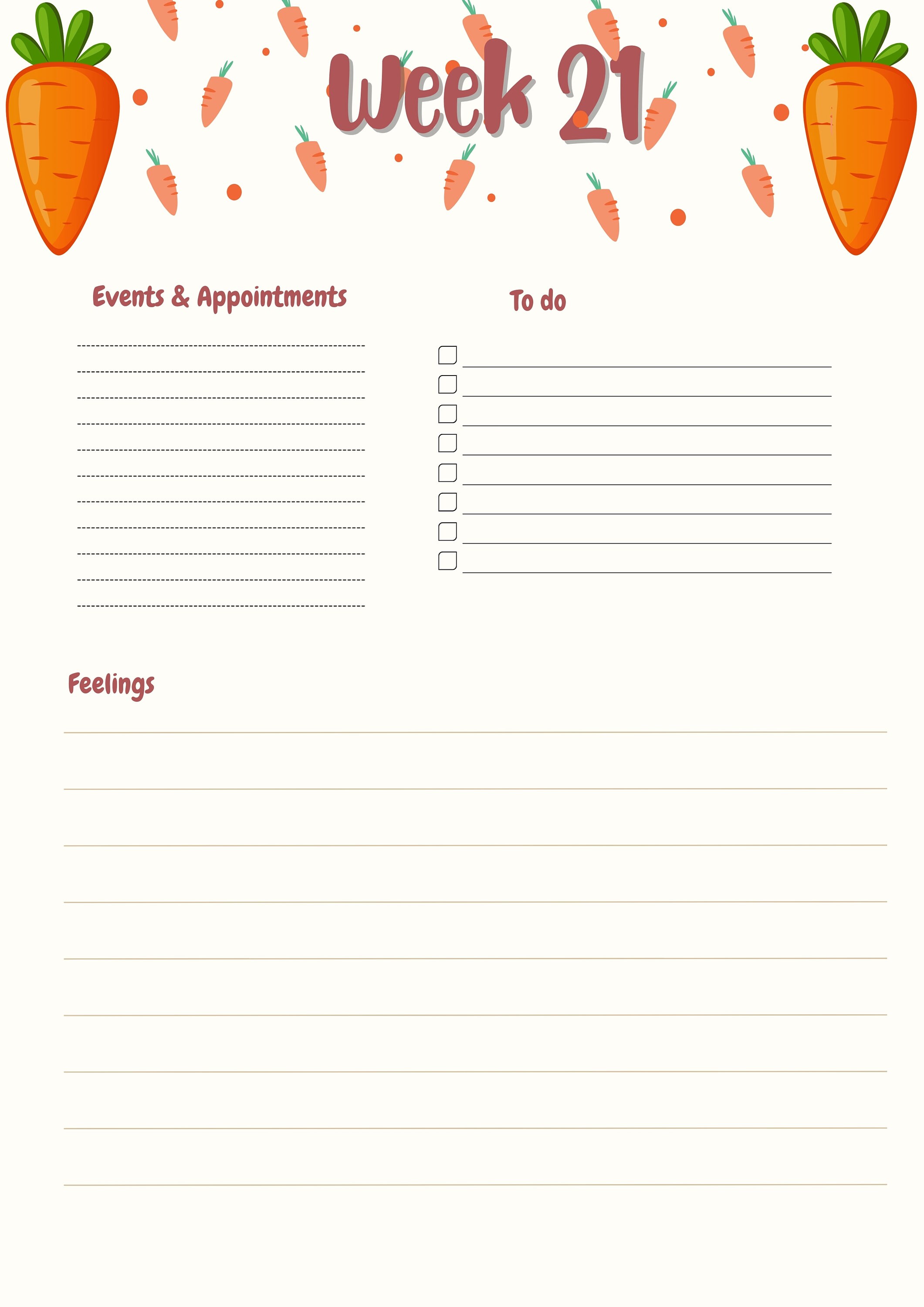 Printable Pregnancy Journey, Digital Pregnancy Journey, Week by Week ...