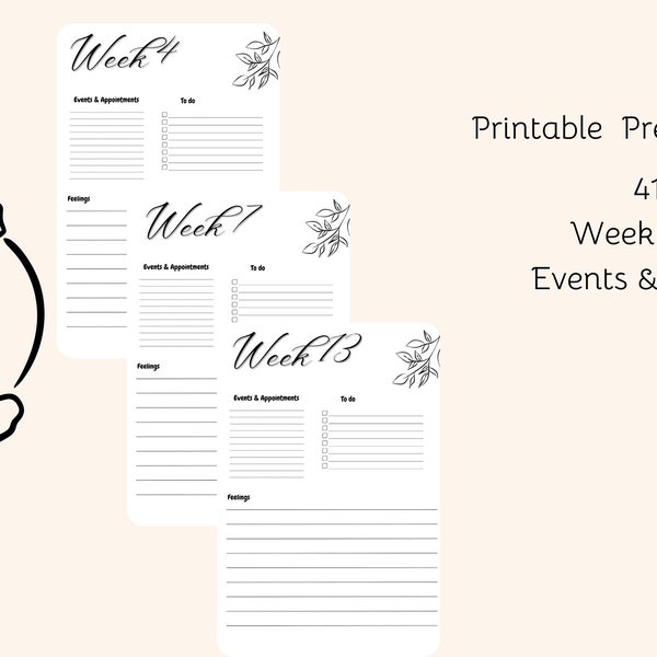 Pregnancy Journal, Week by Week Pregnancy Journal, Digital Pregnancy Journal, Printible Pregnancy Journal