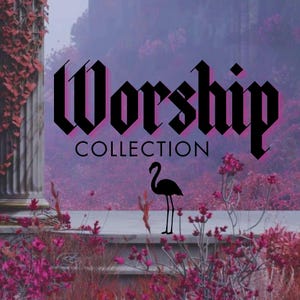 May include: A digitally enhanced image featuring the text "Worship Collection" in a gothic font. A black flamingo silhouette stands on a ledge, surrounded by pink flowers and foliage against a purple backdrop.