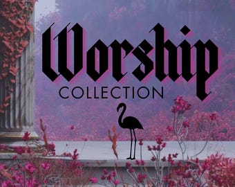 WORSHIP: 12 new offerings • atmospheric roll-on perfume oils in a 10 ml glass bottle