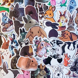 Fun Stickers Bundle, Cute Rabbit Sticker Surprise Bundle, Stickers Pack for Phones, Guitars, Bumper, Skateboard, Helmet, Water Bottles