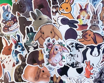 Fun Stickers Bundle, Cute Rabbit Sticker Surprise Bundle, Stickers Pack for Phones, Guitars, Bumper, Skateboard, Helmet, Water Bottles