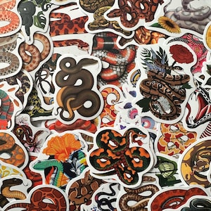 May include: A selection of vibrant snake stickers. The stickers showcase detailed illustrations of snakes in shades of brown, orange, green, and red, with some designs incorporating floral elements. The stickers are on a white background.