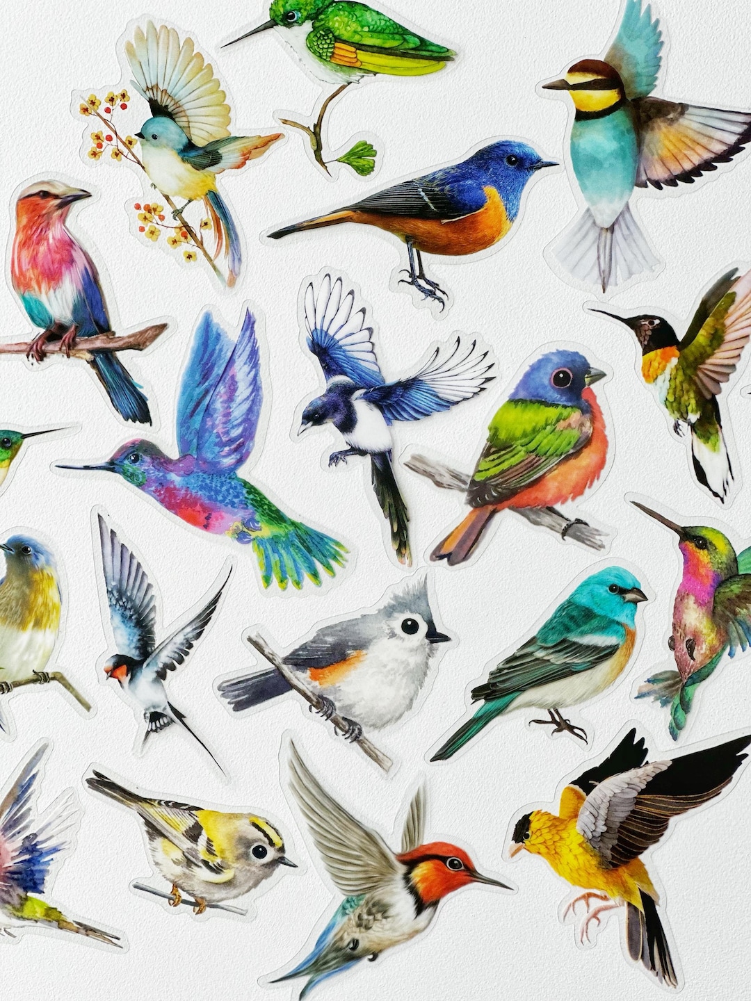 Bird Vinyl Stickers: Clear Waterproof Decals, Surprise Pack - Etsy