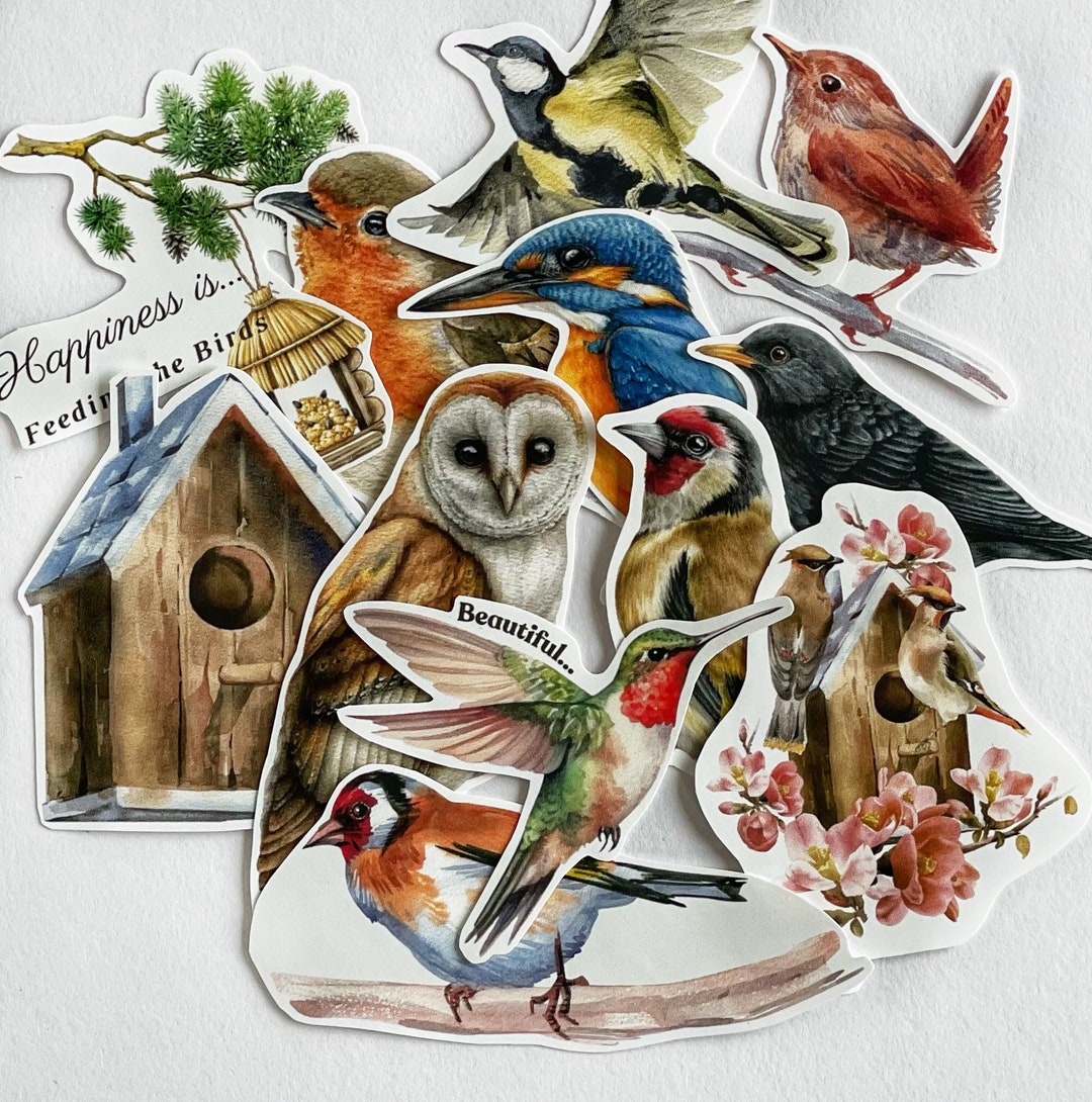 Hand-cut Bird Stickers Set: Nature Journal & Planner Stickers - Etsy