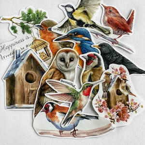 Ensemble d'autocollants beaux oiseaux Stickers nature découpés à la main Stickers agenda