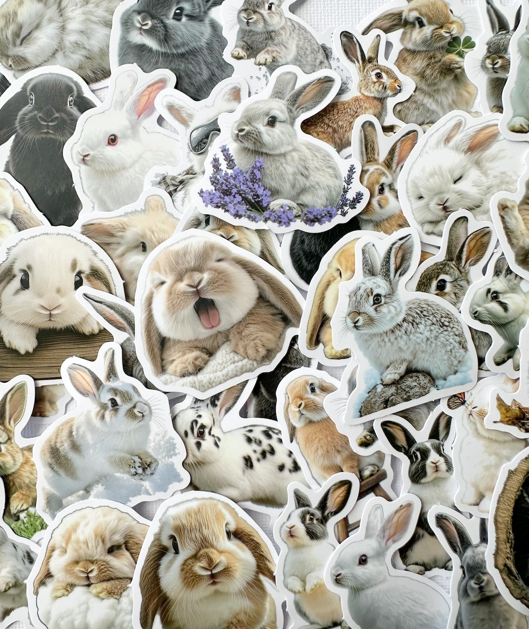 Cute Rabbit Sticker Set Fun Rabbits Bunny Stickers - Etsy
