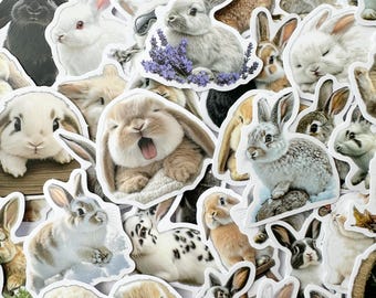 Cute Rabbit Sticker Set Fun Rabbits Bunny Stickers