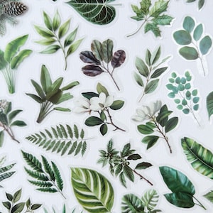 Puede incluir: Una colección de pegatinas botánicas con varias hojas, ramas y flores verdes. Las pegatinas muestran ilustraciones detalladas de diferentes especies de plantas, incluyendo helechos, flores de magnolia y hojas tropicales. Las pegatinas están dispuestas sobre un fondo blanco.