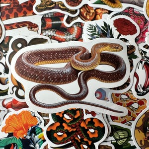 Puede incluir: Una colección de pegatinas con ilustraciones de serpientes. La pegatina central muestra una serpiente marrón detallada con cabeza amarilla, enroscada y curvada. Otras pegatinas muestran serpientes en diferentes colores y patrones.
