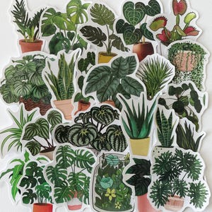 Paquete de pegatinas de plantas Regalo para amantes de las plantas Regalo para mamás de plantas Botella de agua Portátil Diario móvil Carta para mamás de plantas TJ