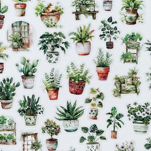 Juego de pegatinas de plantas con fondo transparente, pegatinas impermeables para portátiles, pegatinas para teléfono, pegatinas para amantes de las plantas, solo una planta más