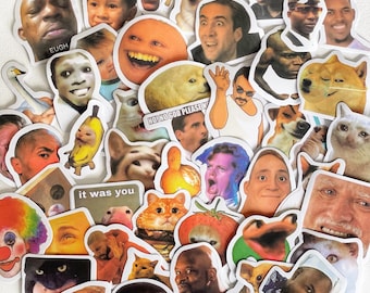 Surprise Meme Vinyl Sticker Pack: Funny Laptop Decals