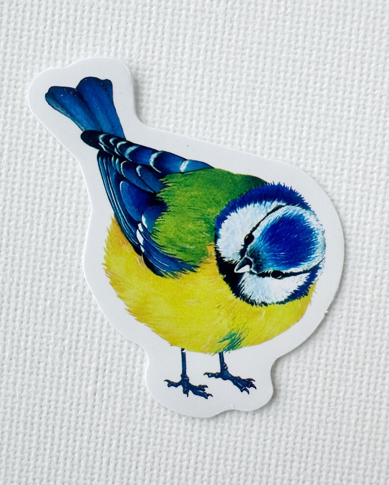 Surprise Garden Birds Sticker Pack | Assorted Wild Bird Art Decals - Etsy