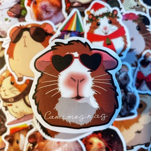 May include: A collection of colorful stickers featuring cartoon guinea pigs wearing various accessories, including sunglasses, hats, and scarves. The stickers are printed with the text "Camimegnag".