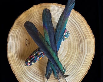 Lot De 200 Plumes De Coq Noires Naturelles 12,7 à 17,8 Cm - Idéal Travaux Manuels, Bijoux, Attrape-Rêves & Décoration