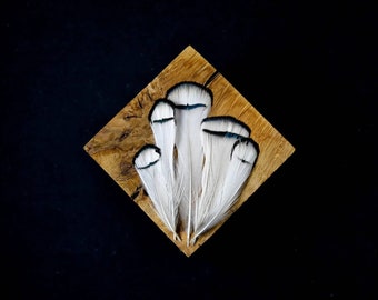 Plumes de faisan de Lady blanche noire 5-10 cm