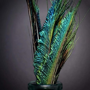 Natural peacock feathers, swords, emerald green, 25 cm image 7