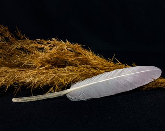 Plumas de ganso blancas 12-17 cm