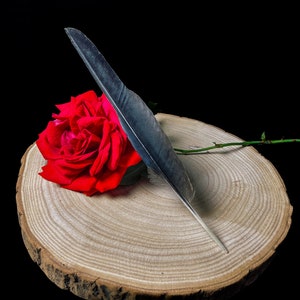 Puede incluir: Una sola rosa roja con una pluma gris sobre una rodaja de madera. La rosa está en plena floración y la pluma es larga y delgada.