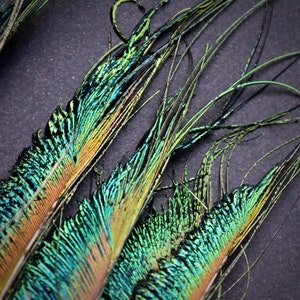Plumas naturales de pavo real, espadas, verde esmeralda, 25 cm imagen 4
