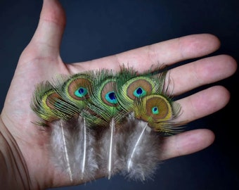 Plumas de pavo real verde ojo pequeño 8-12 cm