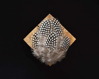 Guinea fowl feathers, white and black, 5 - 10 centimeters