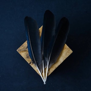 May include: Three black feathers with white stems rest on a square wooden block, set against a dark blue background. The feathers are arranged in a fan shape, creating a visually appealing composition. The natural textures and colors create a sense of elegance.