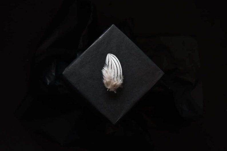 Petites plumes de faisan argenté 3-6 cm image 3