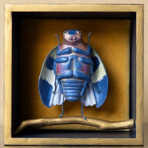 Beetle Sculpture | Fun Insect shadow box | Entomology Gift | Jewel Beetle Blue