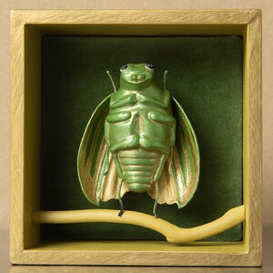 Beetle Sculpture | IFun Insect shadow box | Entomology Gift | Green Jewel Beetle