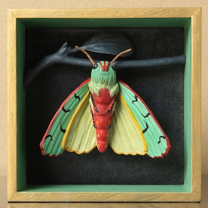 Happy Moth Sculpture | Fun Insect shadow box | Entomology Gift |  Chlorhoda Tricolor