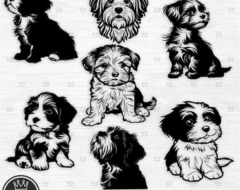 Cute Havanese Bundle Svg file, Havanese Lovers SVG, Havanese Silhouette Png, Havanese face Clipart, Havanese Mom gift, Havanese Dad Cricut