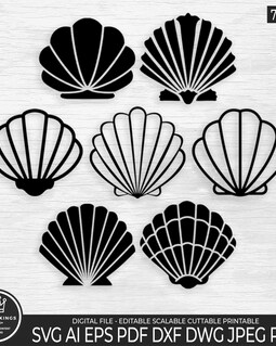 7 SEA SHELL Svg Bundle Sea Shell Vector File Seashell Cricut