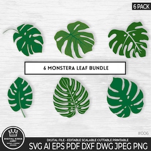 May include: A set of six digital cut files featuring green monstera leaves. The files are available in SVG, AI, EPS, PDF, DXF, DWG, JPEG, and PNG formats. The text "6 MONSTERA LEAF BUNDLE" and "6 PACK" are visible in the image.
