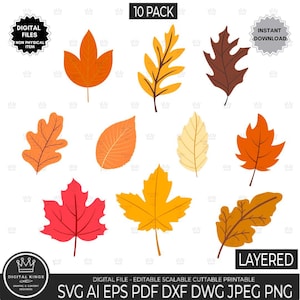 FALL Leaves Svg file bundle, Fall svg, Fall leaf svg, Fall Clipart Halloween svg Autumn clipart Cut file Cricut, Glowforge file, Silhouette