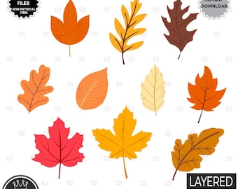 FALL Leaves Svg file bundle, Fall svg, Fall leaf svg, Fall Clipart Halloween svg Autumn clipart Cut file Cricut, Glowforge file, Silhouette