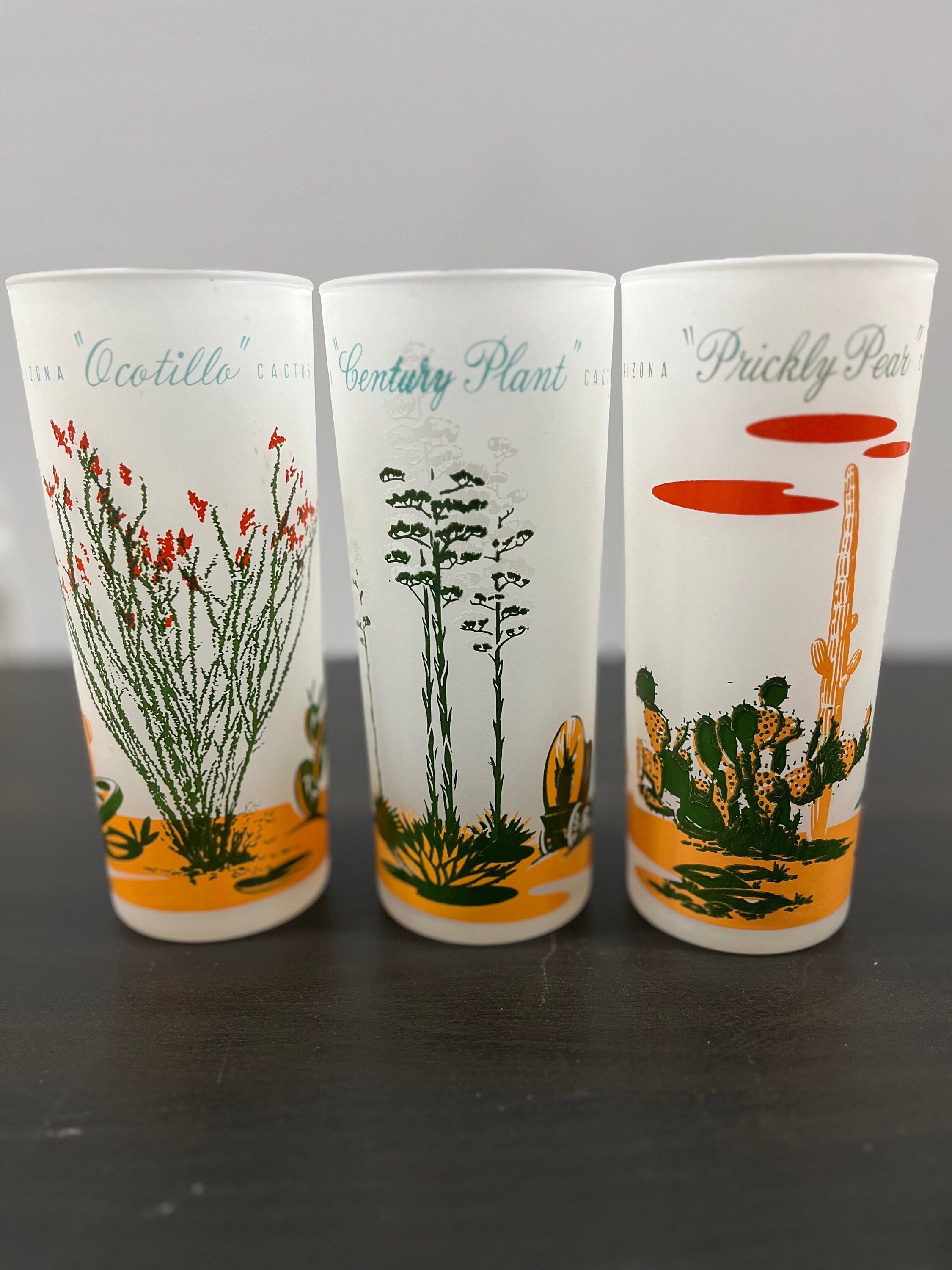 1950s Blakely Oil Glasses, Arizona Cactus Glass, Set of 3 - Etsy