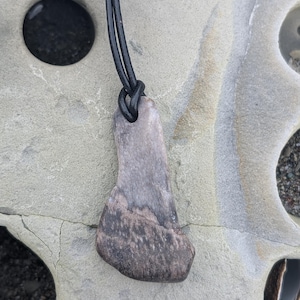 Agatized Petrified Wood Necklace
