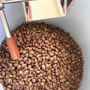 May include: A large batch of roasted brown coffee beans fills a light gray container. A metal stirring arm with a cylindrical wooden handle is positioned within the beans, featuring a reflective silver blade attached to the top of the mechanism.