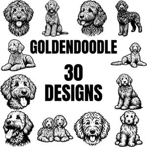Pacote Goldendoodle SVG PNG, Dog Lover Clipart, Arquivos de corte de vetor Golden Doodle para Cricut, Silhouette e projetos de artesanato
