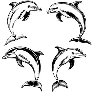 Delphin SVG, Delphin Svg-Bundle, Delphin Clipart, Delphin Png, Delphin Vektor, Delphin Cricut, Delphin Silhouette, Meerestier SVG, Leben im Meer