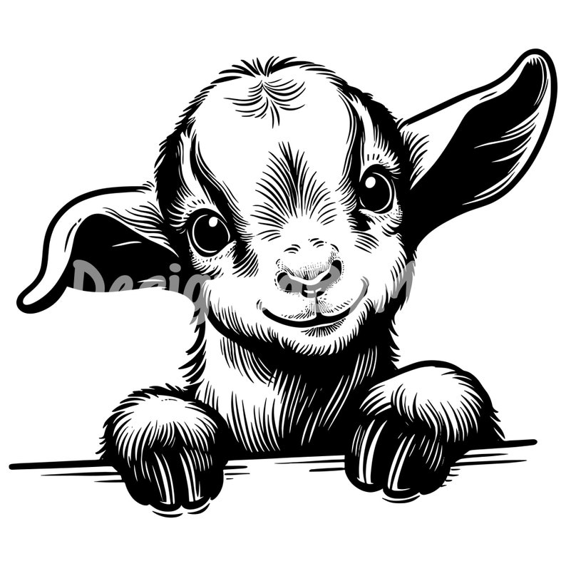 May include: A black and white illustration of a baby goat peeking over a surface. The goat has large, expressive eyes and a sweet smile.
