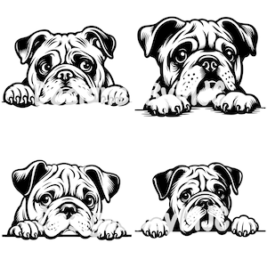 Peeking Bulldog SVG Bundle & PNG Files, Bulldog Face Vector Images Clipart Dog SVG Image for Logo, Bulldog Silhouette Svg, Dog svg