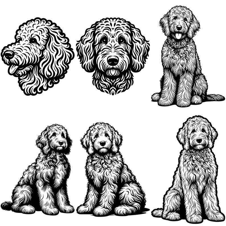Goldendoodle SVG PNG Bundle, Dog Lover Clipart, Golden Doodle Vector ...