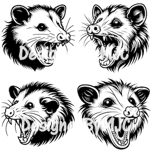 Opossum SVG PNG Bundle, conception d'été fille sauvage, Opossum tête Svg, Opossum Clipart, Opossum coupe fichier Cricut