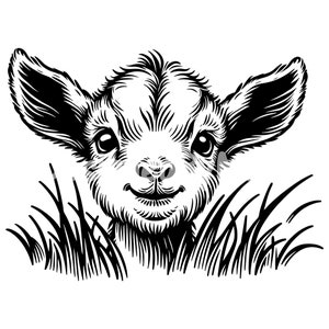 May include: A black and white illustration of a baby goat peeking out from behind tall grass. The goat has a sweet, innocent expression on its face.
