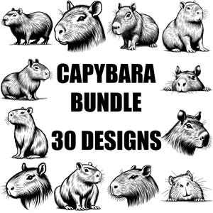 Capybara SVG Bundle 30 Designs, Cute Capybara Clipart PNG, Capybara Vector Graphics, Animal Silhouette Digital Files for Cricut