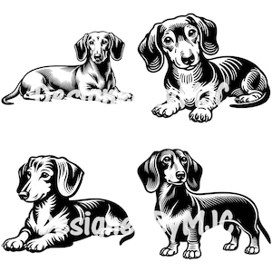 Dachshund SVG PNG, Dachshund Weiner Dog Laying svg, Dachshund Clipart, Dachshund Silhouette