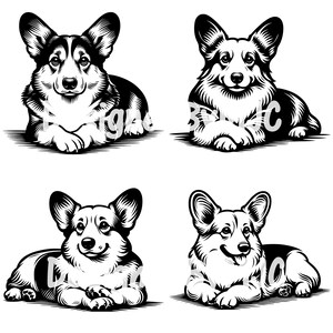 Corgis Hund legen gekreuzte Pfoten SVG Clipart PNG-Dateien, Corgis Vektor schneiden Dateien, Corgis Png Sublimation